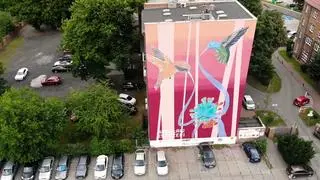 Kolibry wiążące wirusa