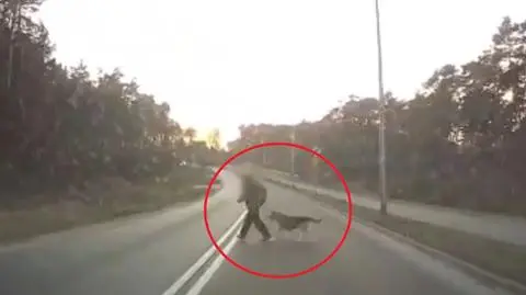 Kobieta wbiegła wprost pod koła nadjeżdżającego pojazdu