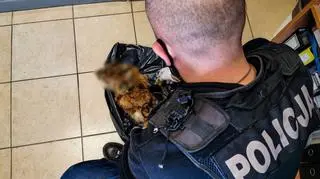 Policjanci od początku podejrzewali, że była to skóra rysia