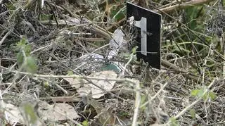 Narkotyki znajdowały się m