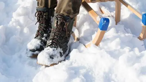 Na sankach między narciarzami. "Zdążył je przypiąć do orczyka"
