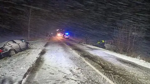 Tego dnia obficie padał śnieg