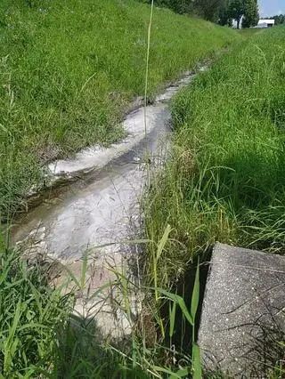 Zanieczyszczenie potoku Klikowskiego w Tarnowie (woj. małopolskie)