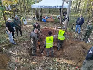 Prace w lesie przestrzelskim koło Jedwabnego