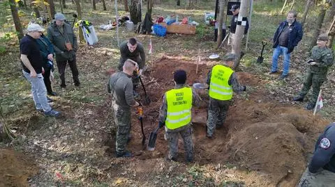 Prace w lesie przestrzelskim koło Jedwabnego
