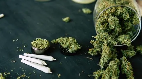 marihuana narkotyki