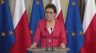Premier zapewniła, że w sprawie in vitro "nie będzie naciskać na posłów"