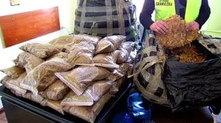 Pocięte i zapakowane liście tytoniu