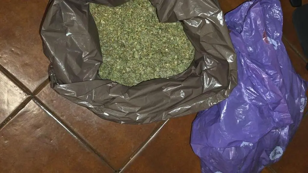 3,5 kilograma marihuany