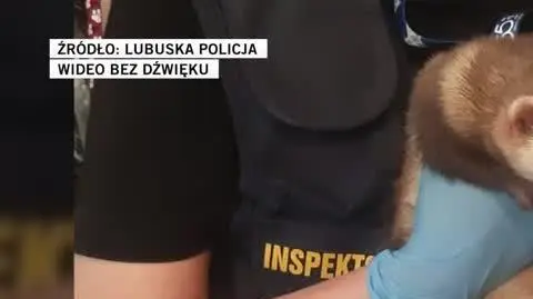 Lubuska policja