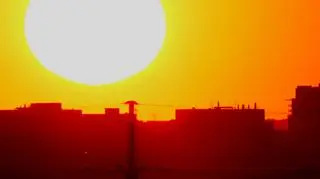 Dzień Ziemi. Dlaczego walka z "betonozą" jest tak ważna?