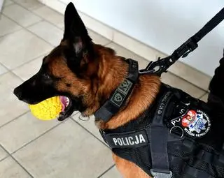 Luna służyła w policji przez osiem lat 