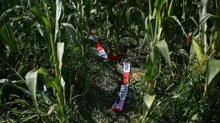 "Cały czas wprowadzano nas w błąd"