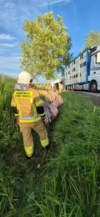 Wypadek na DK 20 w powiecie bytowskim
