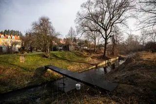 Okolice miejsca znalezienia ciała 11-letniej dziewczynki w Jeleniej Górze