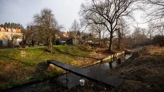 Okolice miejsca znalezienia ciała 11-letniej dziewczynki w Jeleniej Górze