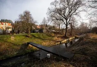 Zatrzymana 12-latka wysłuchana. Nowe informacje o śmierci 11-letniej dziewczynki