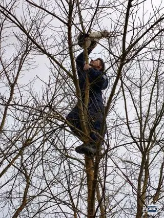 Policjanci ściągnęli kota z drzewa