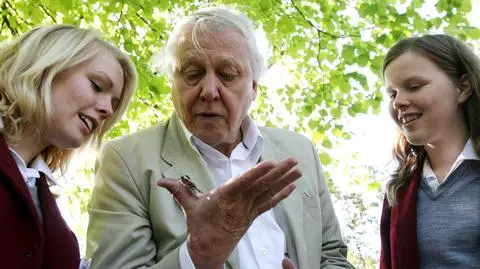 Sir David Attenborough kończy sto lat
