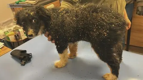 Klatka kluczowa-291329