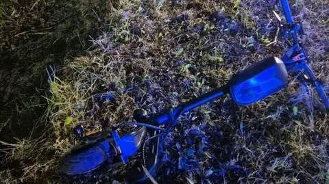 16-latek na hulajnodze uderzył w przebiegającą sarnę