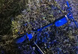 Sarna przebiegała przez jezdnię. Uderzył w nią 16-latek na hulajnodze