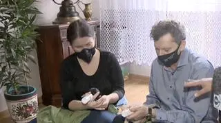 Psy są pod opieką urzędników