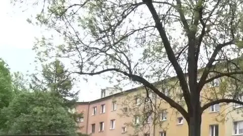 TVN24 Clean_20210516142014_aac_h264_microsoft_720_5000kbps