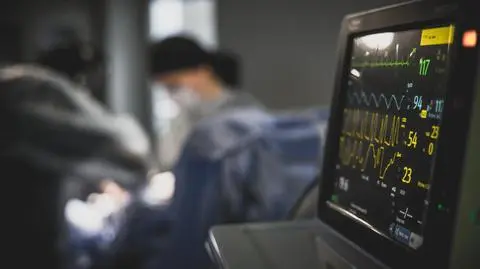 shutterstock_2627578119_1