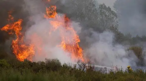 "Myślałem, że już nigdy nie zobaczę swojego domu" 