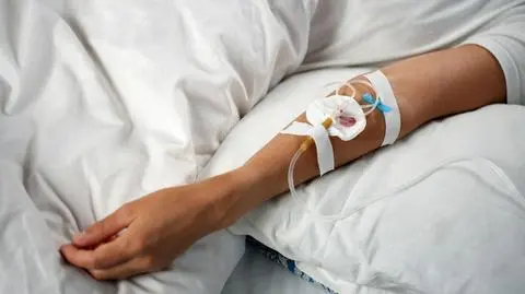 shutterstock_2664455553_1