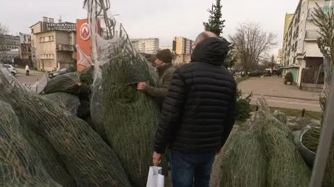Akcja "Choinka dla życia"
