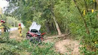 Zjechała z drogi i uderzyła w drzewo