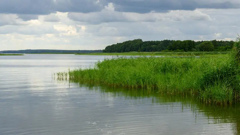 Pogoda na dziś - piątek, 12.09. Miejscami zagrzmi i popada, do 25 stopni
