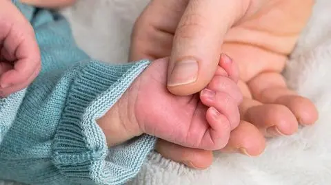 shutterstock_2326666475