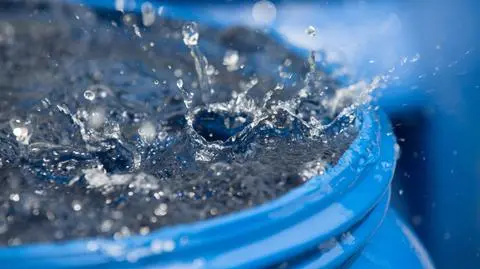 shutterstock_2525172943