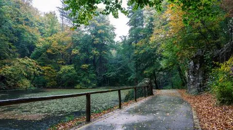 Jesień, park, deszcz, deszczowo