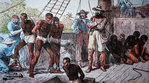 shutterstock_2540216921