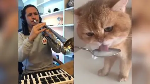 Z filmiku znalezionego w internecie zrobił piosenkę