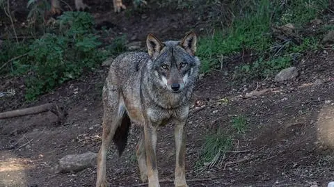 shutterstock_1298689651