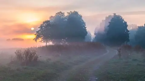 Gęste mgły ograniczą widzialność. IMGW ostrzega