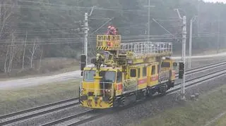 Działania w Puławach