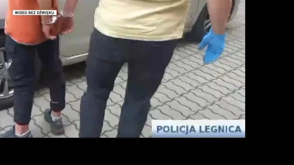 policja legnica