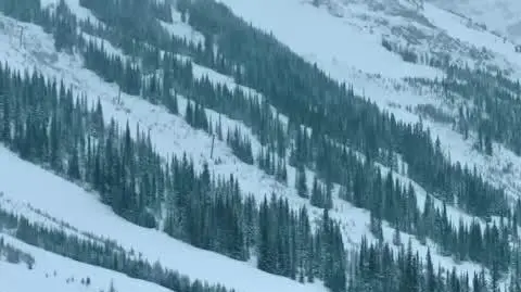 CRAIG DRUCKMANN ONLINE 1