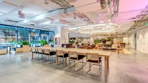 shutterstock_1620176656