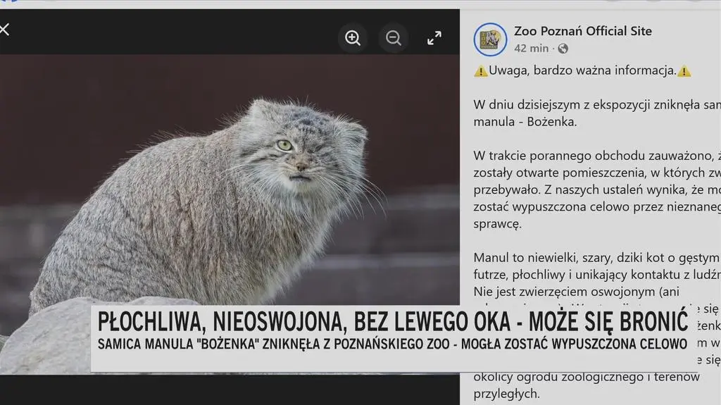 Klatka kluczowa-251981