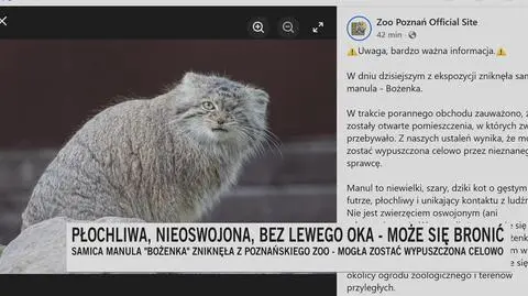 Klatka kluczowa-251981