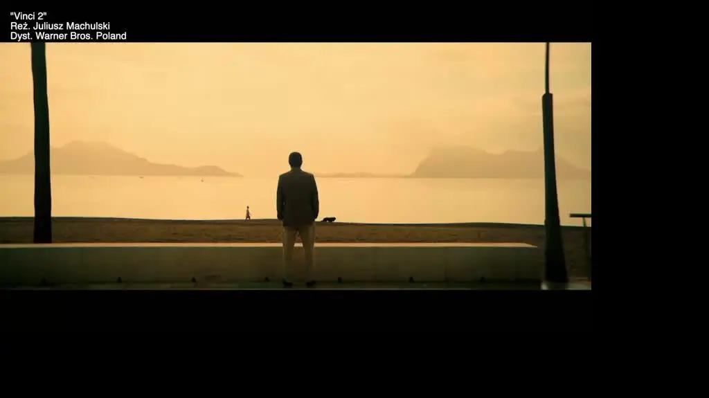 vinci2