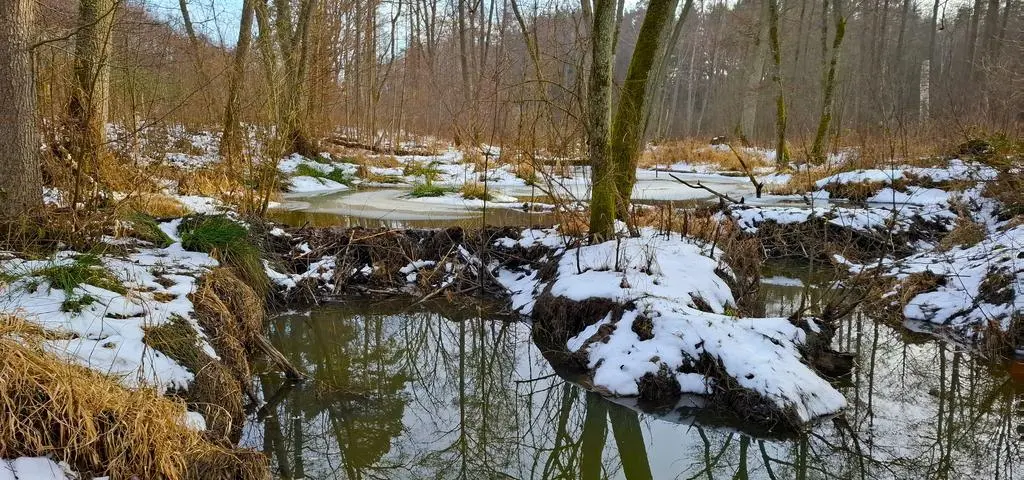"Wydajemy decyzje sprzeczne z obecną wiedzą naukową"