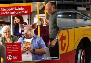 W miejskiej kampanii pasażer z głową świni jest otyły, brudny i je. Organizacje społeczne interweniują